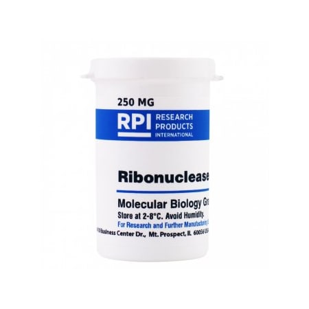 Rpi Ribonuclease A, 250 MG R21750-0.25